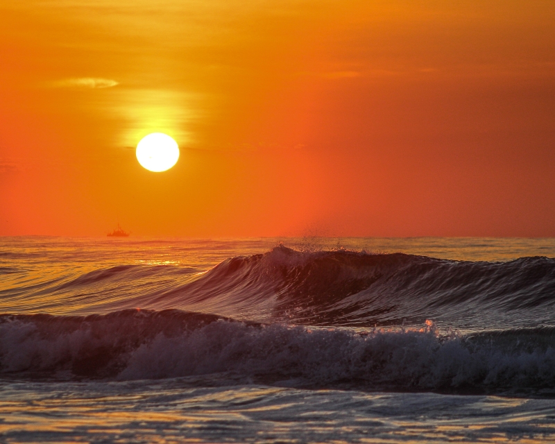 Outbound Fisher by artist Mike Shay